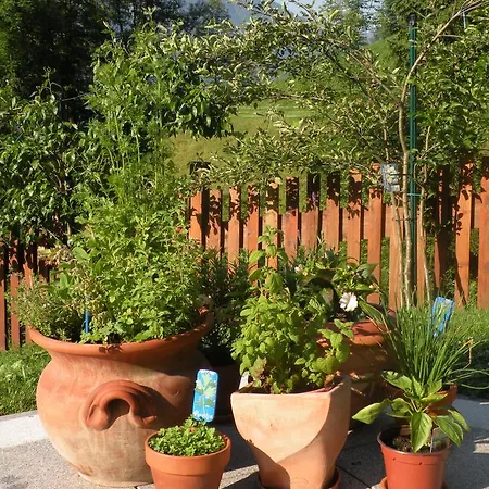 Birnbacher-appartement * Sankt Veit im Pongau