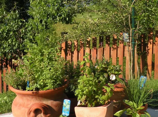 Birnbacher-appartement * Sankt Veit im Pongau