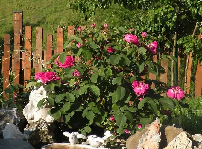 Apartament Birnbacher-appartement *